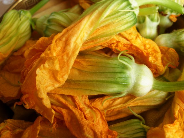 Summer Squash with Saffron Fettuccine