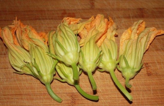 Zucchini Risotto with Stuffed Squash Blossoms
