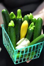Baby  Zucchini, Pesto, and Asparagus Gratin