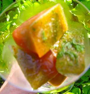Herbal or citrus ice