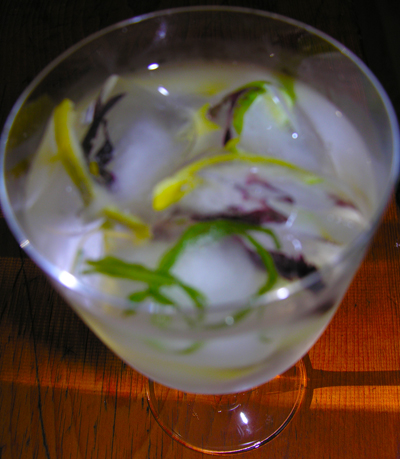 Herbal or citrus ice