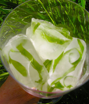 Herbal or citrus ice