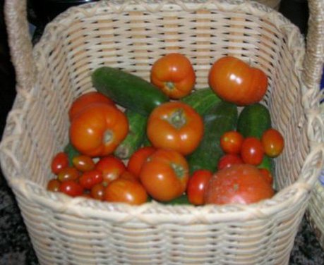 Tomato Basil Soup 