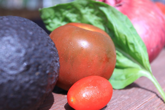 Brown Tomato, Basil and Avacado Salad