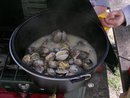 Steamer Clams
