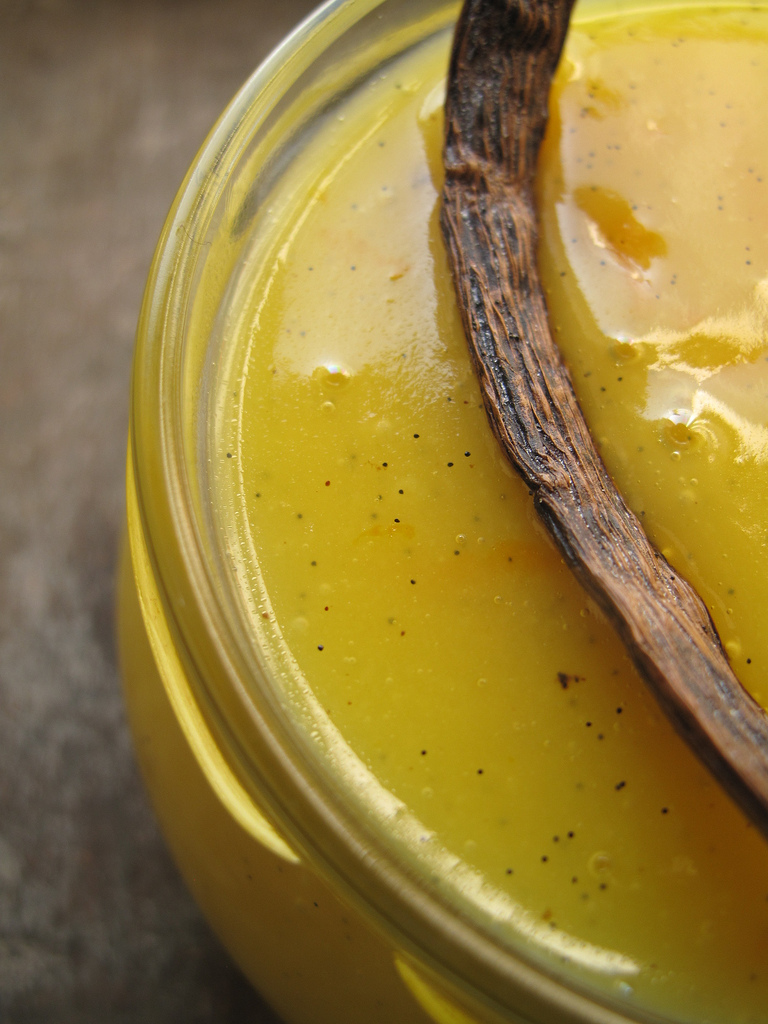 Homemade vanilla powder