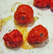 Tomatoes10