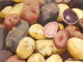 Perfect_potato