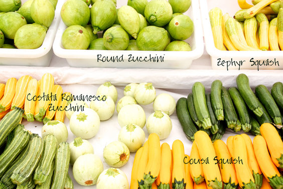 Rigatoni with Summer Squash, Sweet Corn & Basil 