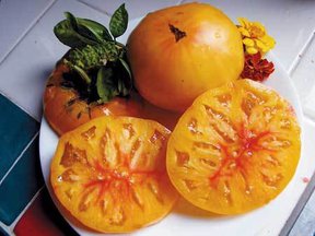 Heirloom Tomato and Peach Salad
