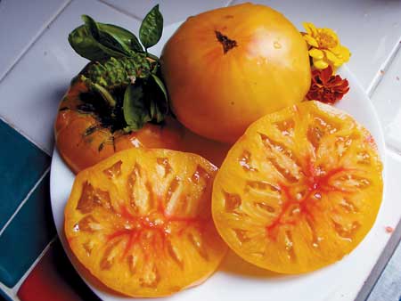 Heirloom Tomato and Peach Salad