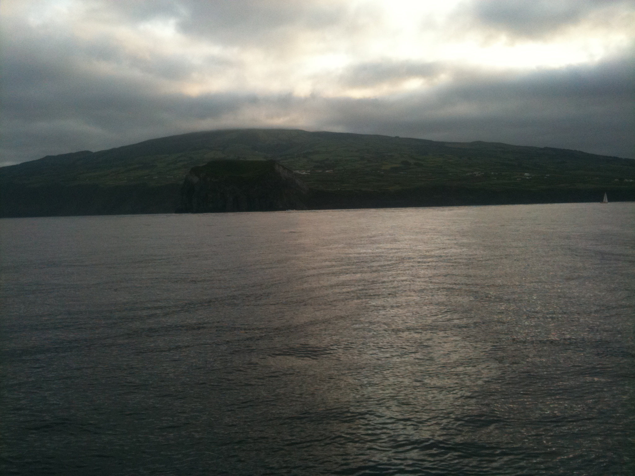 Swordfish Faial