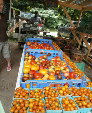 Heirloom "Tomato-rita"