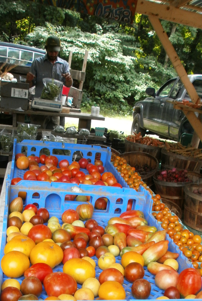 Iced Heirloom Tomato Lassi with Fennel, Orange Zest, and Lavender Honey