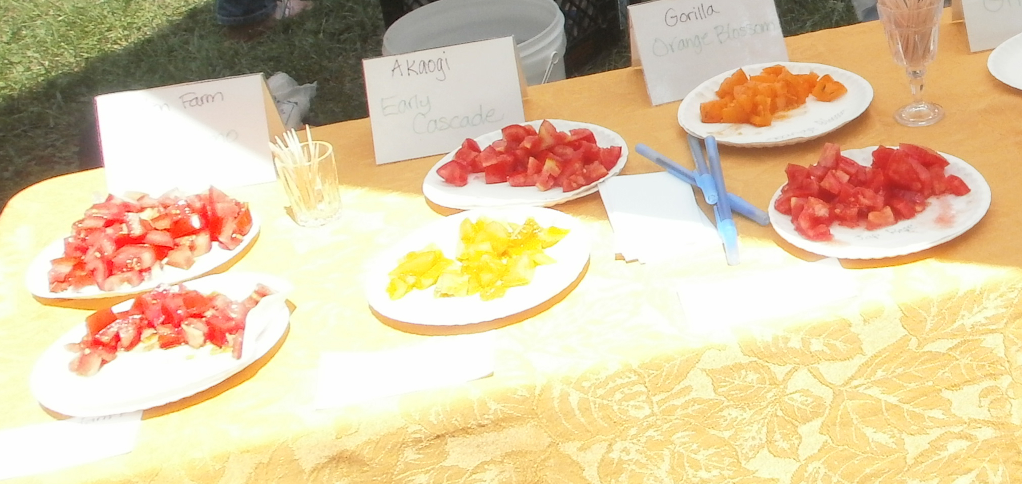 Heirloom "Tomato-rita"