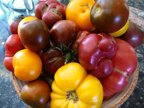 Simple Summer Corn and Heirloom Tomato Salad