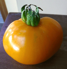 "Fresh from the Garden" Heirloom Tomato and Basil Pasta