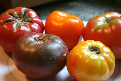 Heirloom Tomato Pesto with a hint of Brown Buttered Sage Sauce over Heirloom Tomato Gnocchi
