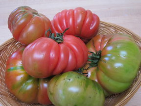 Heirloom_tom0001