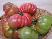 Heirloom_tom0001