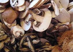 Creamy Wild Mushroom Soup