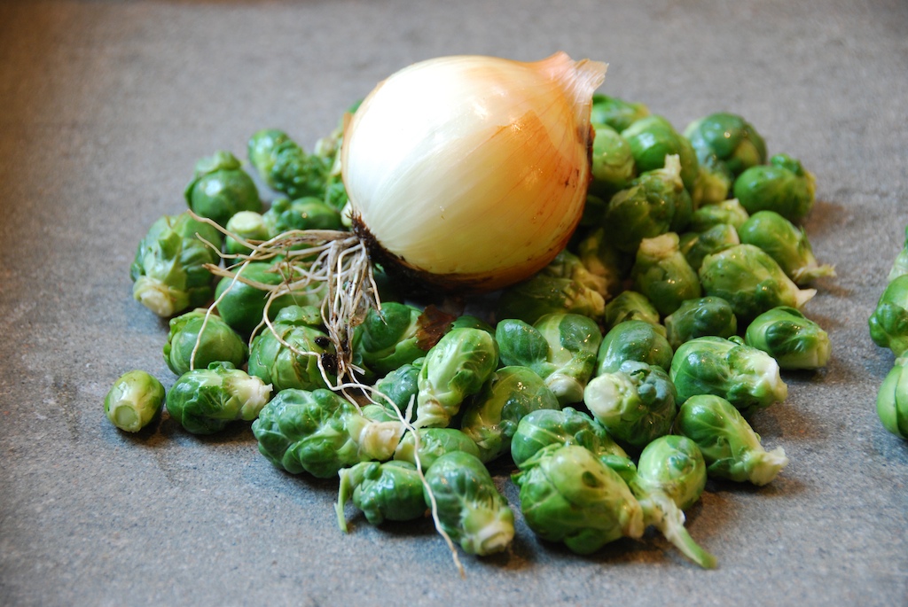 Brussels Frittata