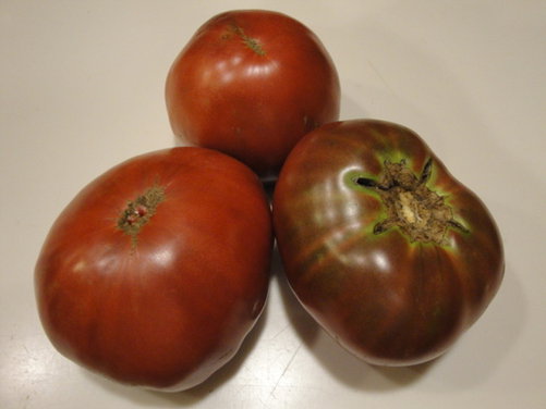 Gilding the Lily Heirloom Tomato Tart