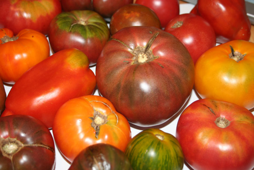 Heirloom Tomato Ceviche