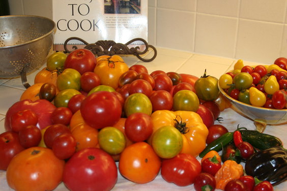 COUNTERTOP HEIRLOOM TOMATOES WITH BRIE