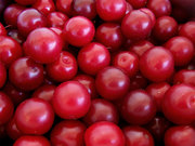 Plums