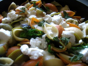 Summer Sicilian Shells