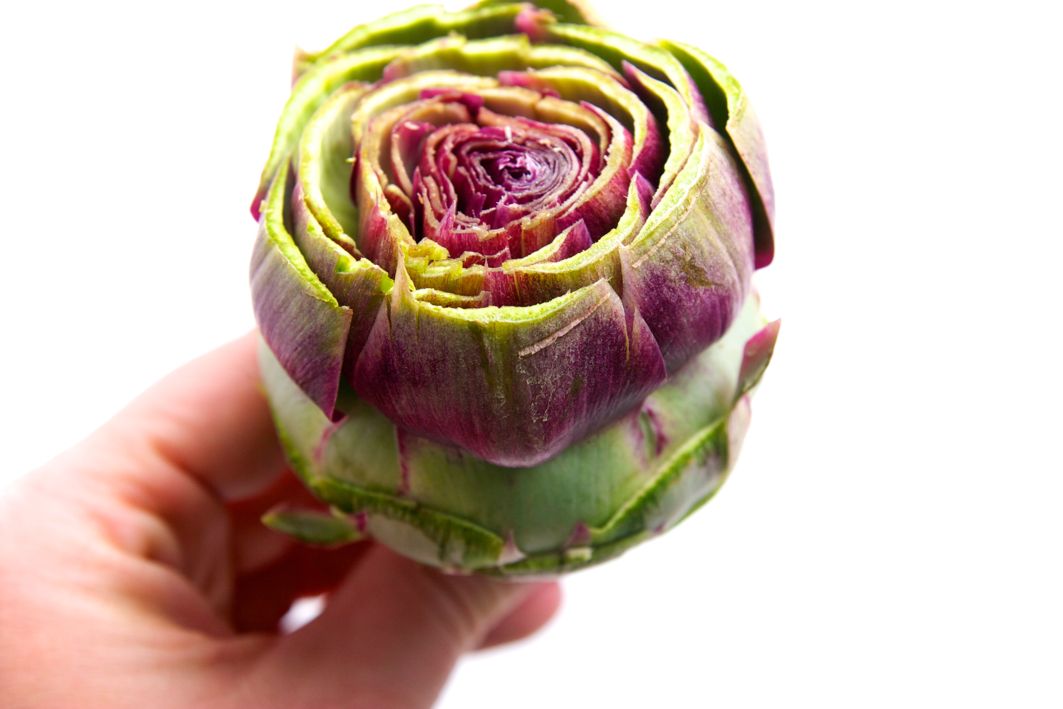 Pan Fried Artichokes in Lemon Garlic Brown Butter 
