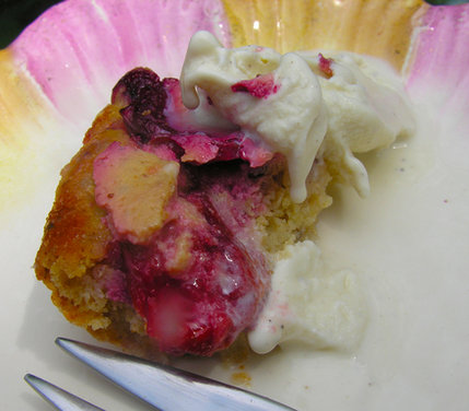 Gluten Free Zwetschgen Kuchen