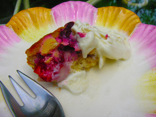Gluten Free Zwetschgen Kuchen
