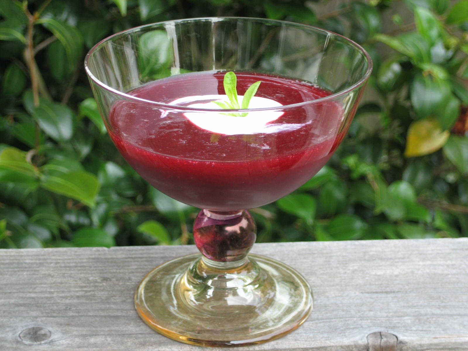 Jewish Plum Soup with Sour Cream Recipe on Food52