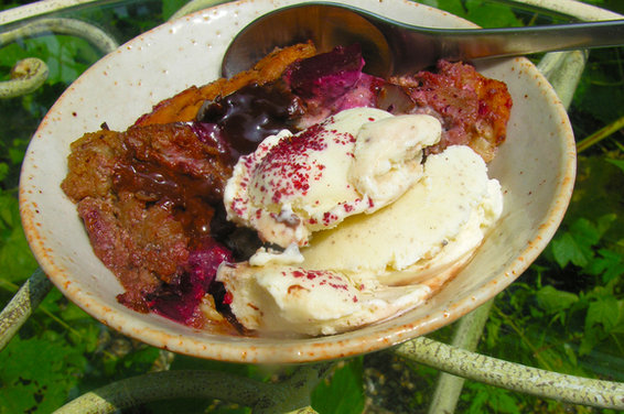 A chocolate black plum pudding with bourbon for a mud-luscious world 