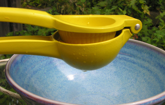 A madras stew