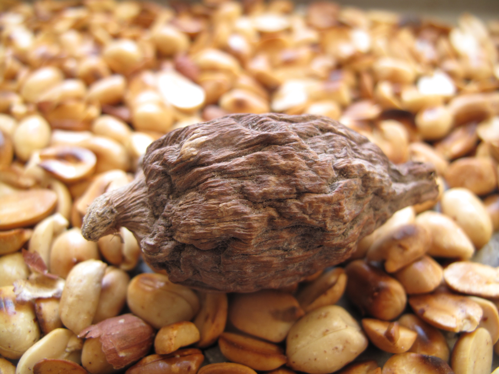 Grains of Paradise PB dip