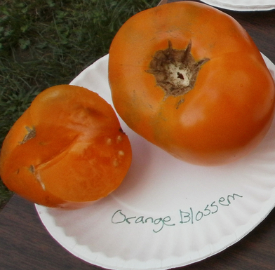 Heirloom Tomato and Mango Lassi with Ground Sumac