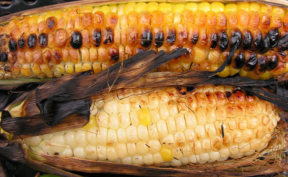 anatomy of a grilled corn salad