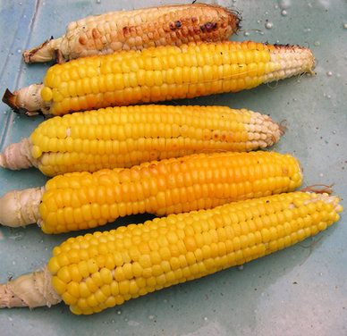 anatomy of a grilled corn salad