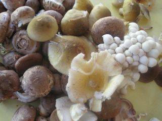 Creamy Mushroom Soup