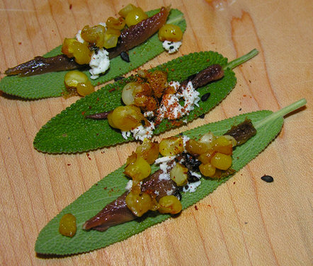 Sagebites with a bite