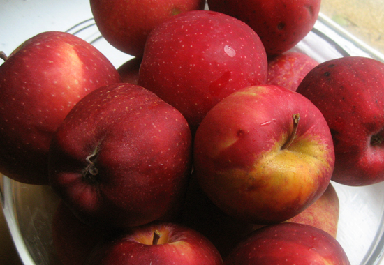 Spicy Apple Relish