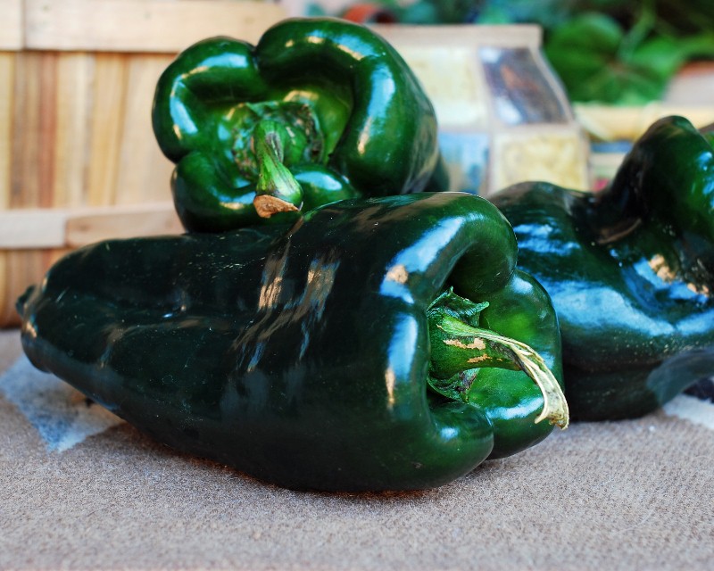 Monster Stuffed Poblano Peppers with Tomatillo Salsa