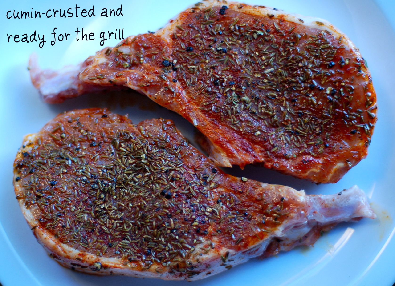 CuminCrusted Pork Loin Chop Recipe on Food52