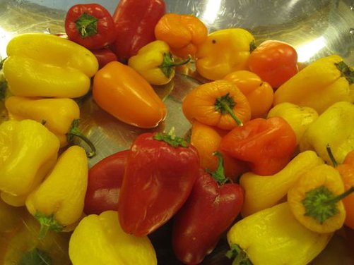 Habanero Jelly