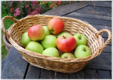 Basket_apples