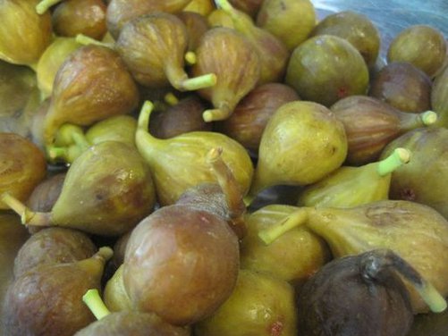 Windfall Fig Confiture