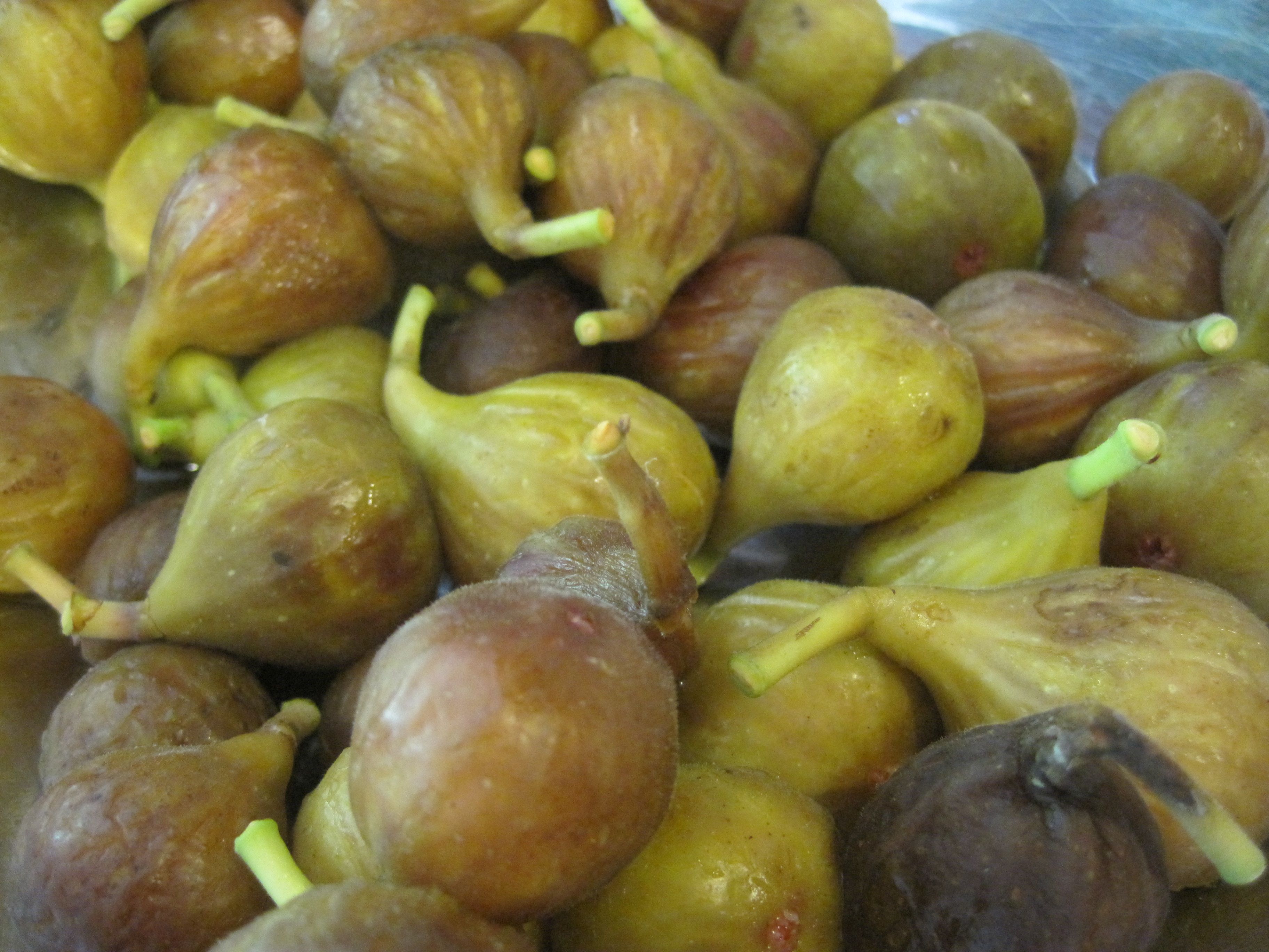 Windfall Fig Confiture